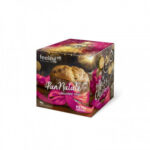 FEELING OK- PANETTONE PAN NATALE