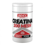 WHY SPORT-CREATINA 200 MESH 500g